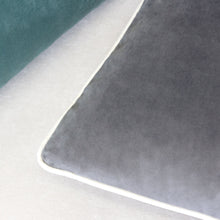 Velvet Solid Throw Pillow with Piping