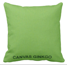 Sunbrella Pillows Canvas Solids with Zipper Removable Covers.